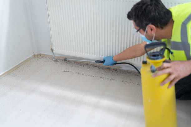 Best Mosquito Control Services  in Fairfield, OH